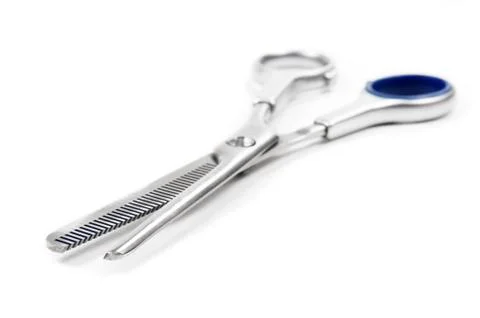 Professional scissors on white Foto stock