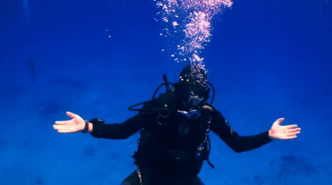 Professional scuba diver Stock Footage 1806862