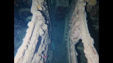 Professional scuba divers with flashlights exploring the rusty remains Vídeos de archivo 335747471