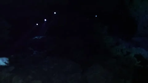 Professional scuba divers with flashlights swimming through a dark, mysterious Vídeos de archivo 332001749
