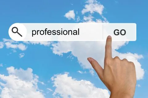 Professional on search toolbar Stockillustratie