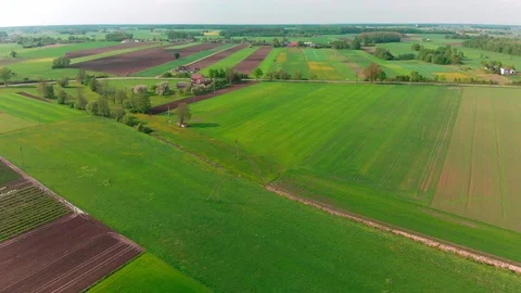 Professional shot from the drone Stock Footage 89700971