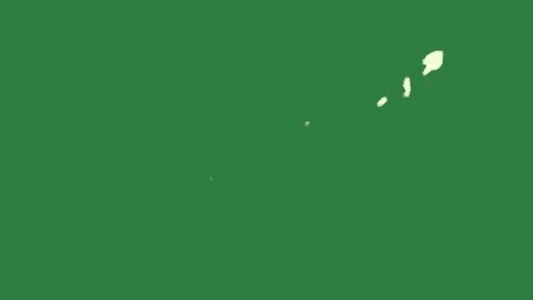 Professional Silhouette Professional Green Screen Element 스톡 동영상 338017562