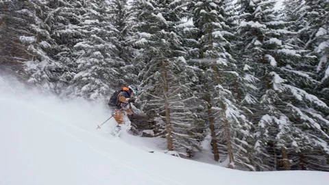 Professional skier skiing through pine tree forest in slow motion Stock Footage 116786724