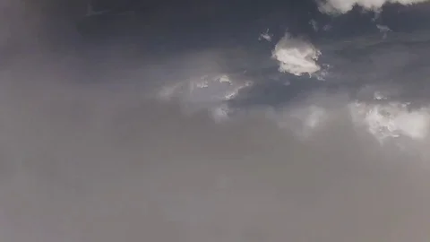 Professional skydiver parachuting in sky. Height. Extreme sport. Speed Video stock 79513355