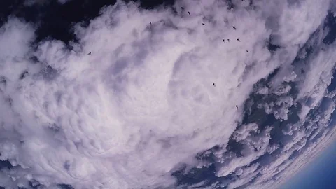 Professional skydivers parachuting, make formation in sunny day. Extreme stunt Video stock 70532650