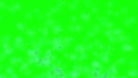 Professional Snow Falling with Flakes Green Screen Element Stock-Footage 342785930