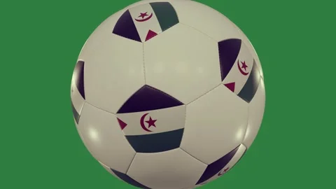 Professional Soccer Dynamic Element Stock Footage 338016528