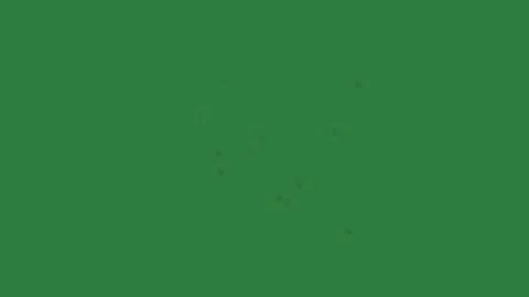Professional Sparkles Flying Green Screen Element Stock Footage 338013856