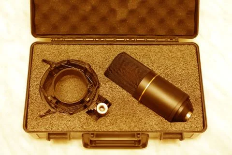 Professional studio condenser microphone Foto stock