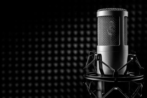 Professional studio microphone on the black sound proof panel. Recording st.. 스톡 사진