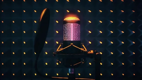 Professional Studio Microphone With Pop Filter In Acoustic Recording Booth Stock Footage 341356501