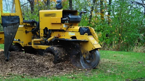 Professional stump grinding machine cutting through a tree stump in a Stock Footage 322546324
