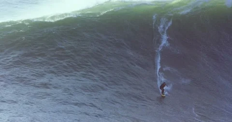Professional surfer surfing down on huge ocean wave on sunny day Stock Footage 156632367