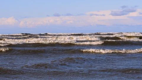 Professional surfer in the wind preparing the wind in the sea to the ocean. Stock Photos