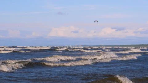 Professional surfer in the wind preparing the wind in the sea to the ocean. Stock Photos