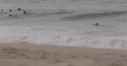 Professional surfers catching small waves near sandy seashore in Portugal Stock Footage 159826339