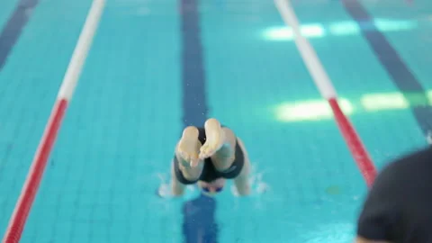 Professional swimmer diving into a swimming pool Stock Footage 330294078