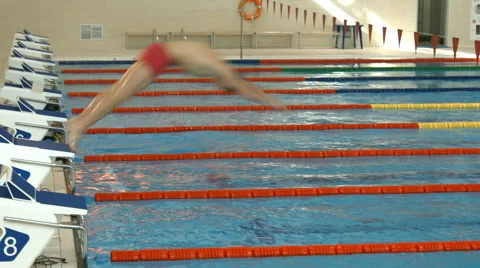 Professional swimmer jumps into the pool Stock Footage 66436551