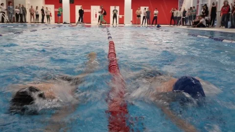 Professional swimmers side by side Video stock 107281594