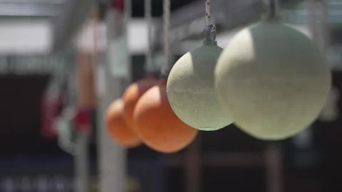 Professional Swinging Exercise 스톡 동영상 246962394