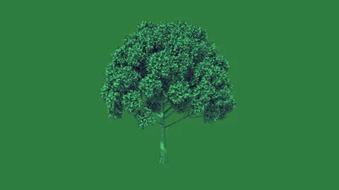 Professional Tall Looping With Tower Green Screen Element Stock Footage 338017970