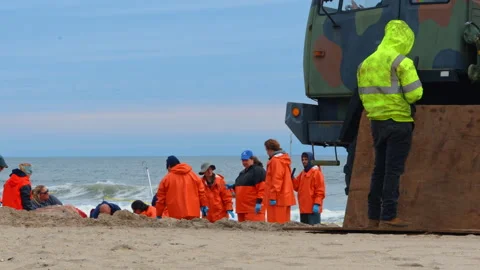 Professional team of cetologists explore the stranded whale. Problem of whale 스톡 동영상 333412834