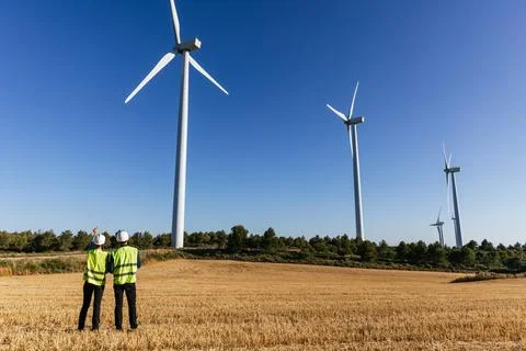 Professional team of engineers working in renewable energy. Stock Photos