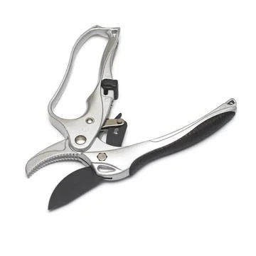 Professional titanium secateurs for garden work isolated on white background Stock Photos