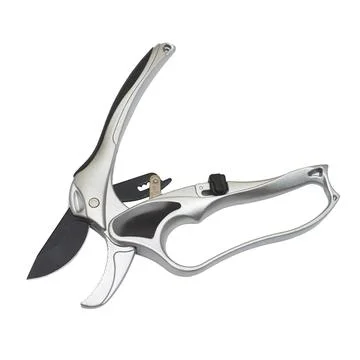 Professional titanium secateurs for garden work isolated on white background Stock Photos