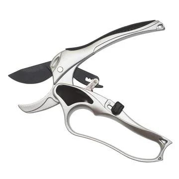 Professional titanium secateurs for garden work isolated on white background Stock Photos
