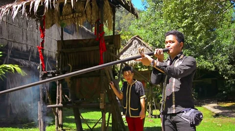 Professional tour guide demonstrates the use of a traditional, blowgun Stock Footage 50024383