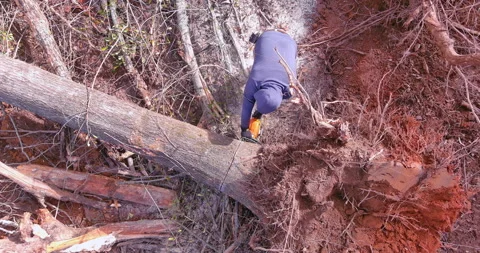 A professional utility worker uses a chainsaw to cut a broken tree trunk Stock Footage 229480795