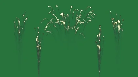 Professional Vase Moving Green Screen Element Stock Footage 338013918