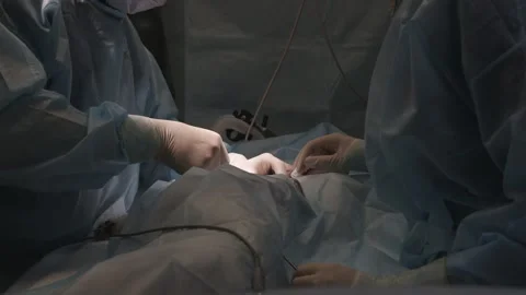 Professional veterinary surgeon and assistant performing a medical procedure on Stock Footage 331873630