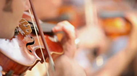 Professional violinists Stock Footage 1461000