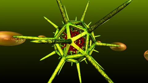 Professional VJ-loops for Projection Stock Footage 302547904