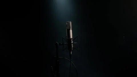 Professional vocal microphone Stock Footage 297444402