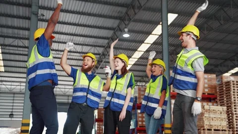 Professional warehouse worker team full skill quality Stock Footage 268840144
