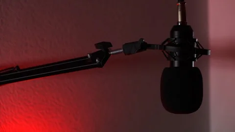 Professional windproof microphone for recording music and voice. The light of a  Stock Footage 125752417