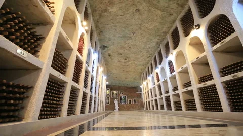 Professional wine cellar Video stock 52786583
