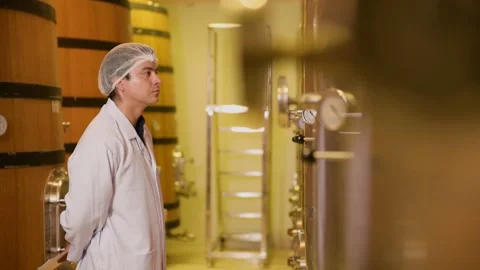 Professional winemaker controlling wine making process and quality at winer.. Stock Footage 286714725
