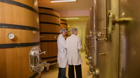 Professional winemaker controlling wine making process and quality at winer.. Stock Footage 286714761