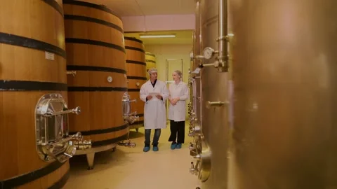 Professional winemaker controlling wine making process and quality at winer.. Stock Footage 286714795