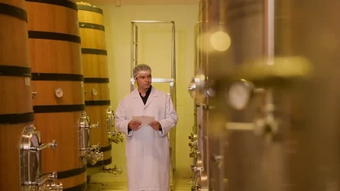 Professional winemaker controlling wine making process and quality at winer.. Stock Footage 286714823