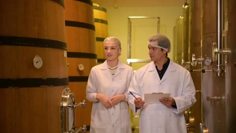 Professional winemaker controlling wine making process and quality at winer.. Stock Footage 286714952