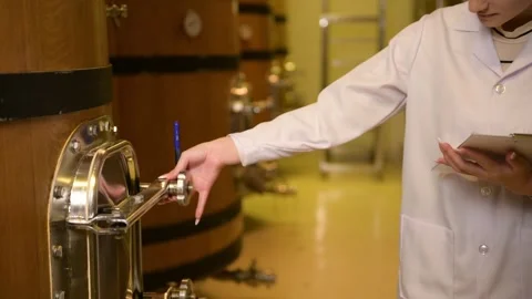 Professional winemaker controlling wine making process and quality at winer.. Stock Footage 286714954