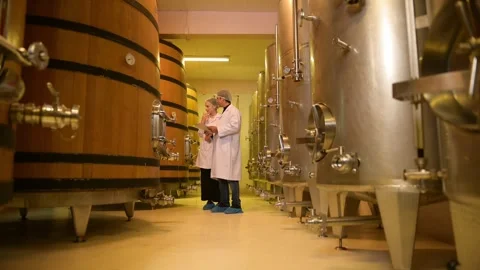 Professional winemaker controlling wine making process and quality at winer.. Stock Footage 286714968