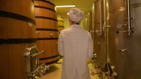 Professional winemaker controlling wine making process and quality at winer.. Stock Footage 286715045