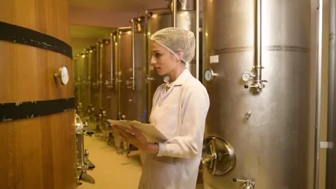 Professional winemaker controlling wine making process and quality at winer.. Stock Footage 286715053